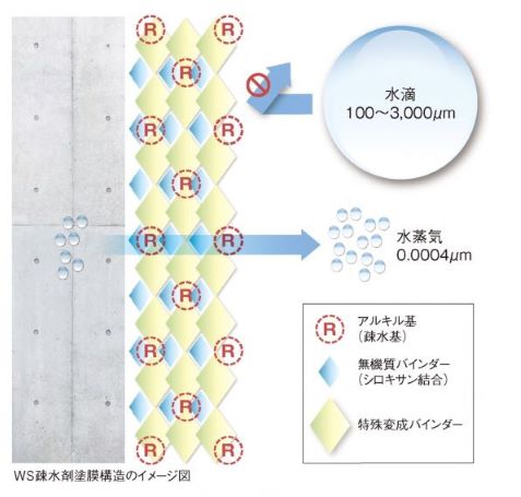 塗膜構造のイメージ図